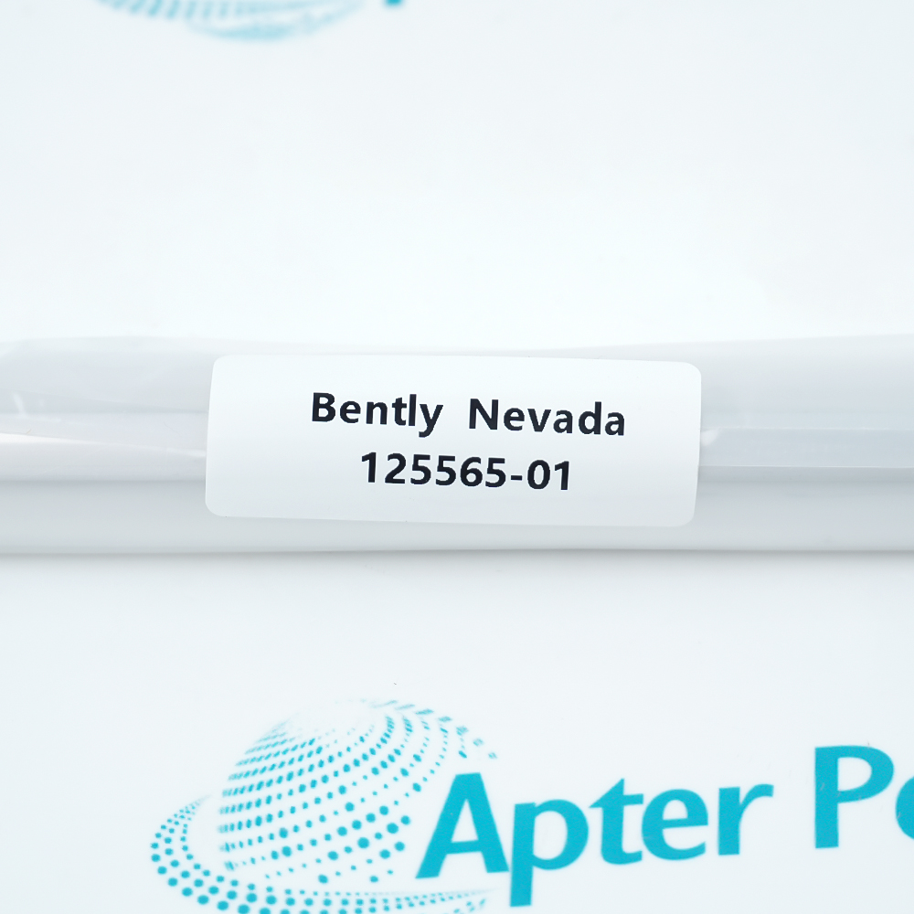 BENTLY NEVADA 125565-01